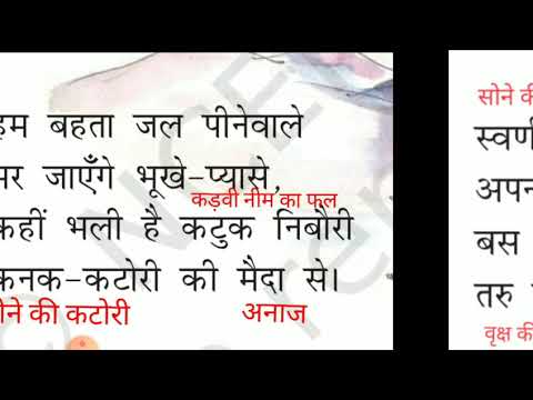 वीडियो: लेक्लेयर पहले सीज़न में वेट्टेल के साथ प्रतिस्पर्धा करना चाहता है