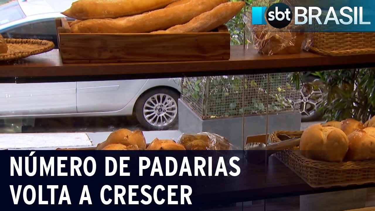 Número de padarias volta a crescer durante o 1º semestre de 2022 SBT Brasil (12/11/22) YouTube Número de padarias volta a crescer durante o 1º semestre de 2022 SBT Brasil (12/11/22) YouTube