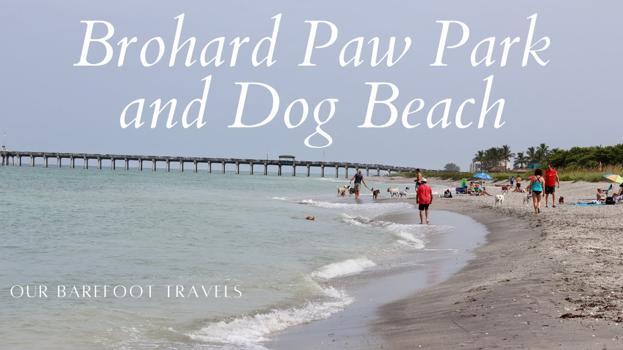 Brohard Paw Park and Dog Beach Sarasota County Venice Florida