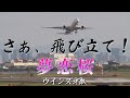 桜ソング「夢恋桜」ウインズ平阪 (歌詞付きMV)