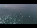 Da Hui Backdoor Shootout Highlight: Bruce Irons