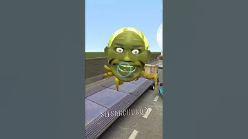 WIE IS HET EVOLUTION LIN GANG MELON EATER FEMALE TANK SPIDER CARS FREEWAY in Garry