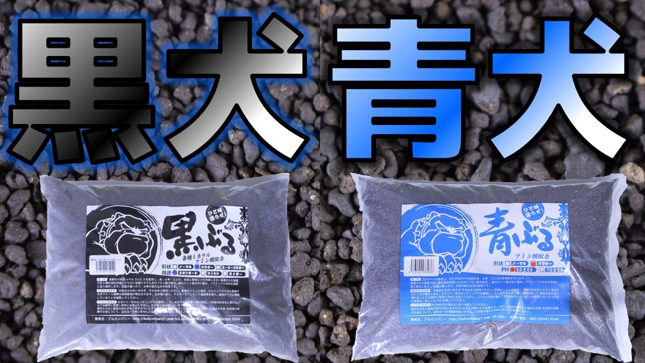 【ソイル】大ヒット商品と聞いたら開封しないわけにはいかないでしょ。ブルカンパニー黒ぶる/青ぶる【ふぶきテトラ】