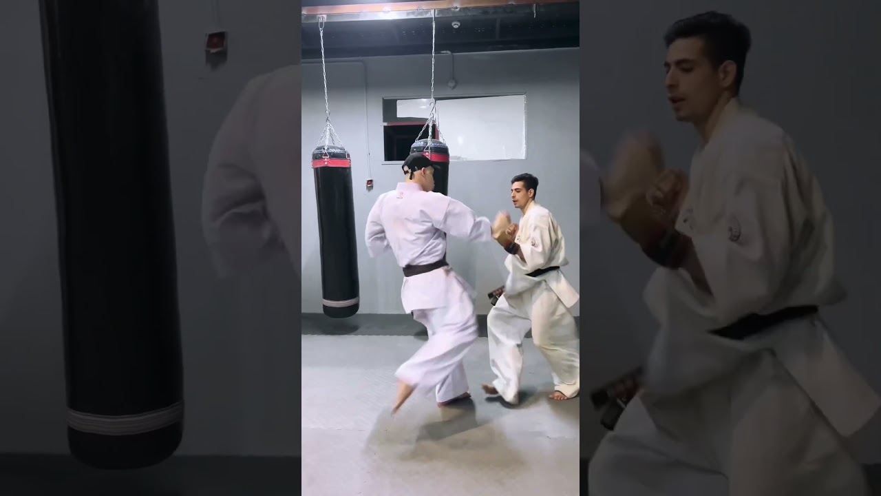 #kyokushin