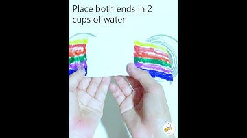 Grow a rainbow! Fun and simple experiment for kids!