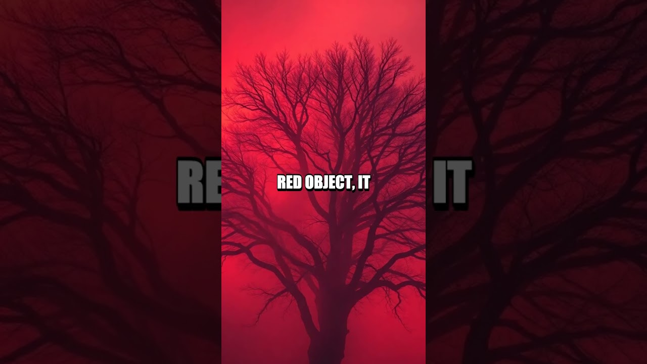 The Hidden Clues in The Sixth Sense You Never Caught