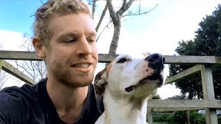 Growing Almond Trees - Flowering And Harvesting