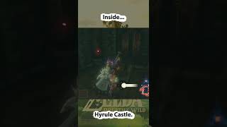 👀 Almost missed the Korok… Yahaha surprise inside Hyrule Castle
