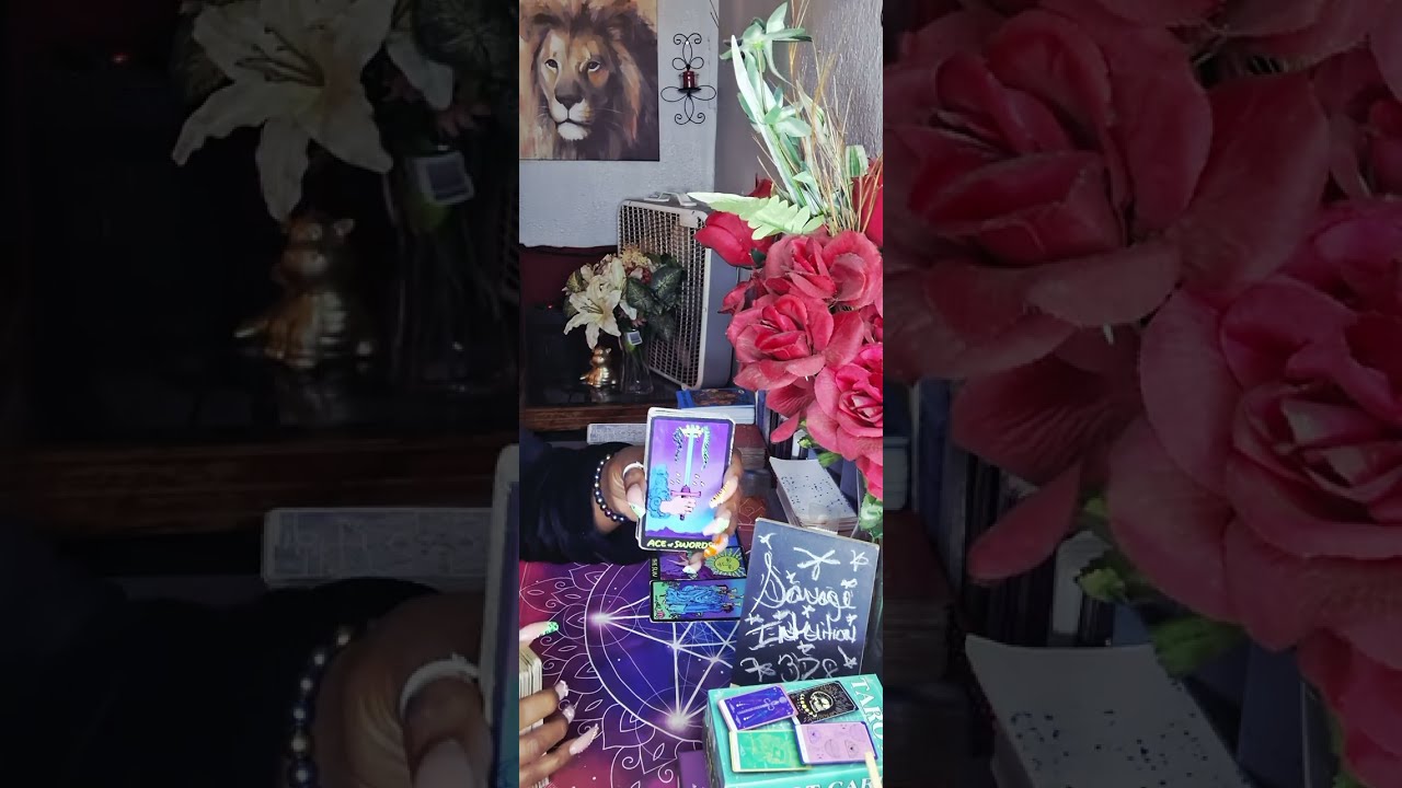 The Information They Have On You Is ALL WRONG! 😂You Dont Live There Anymore...