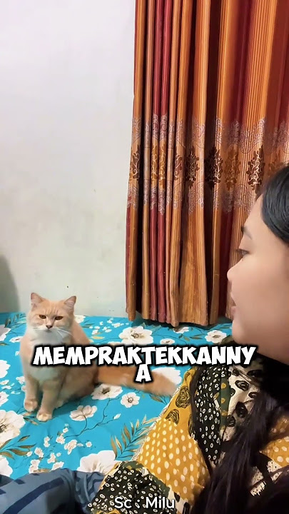 KUCING PINTER AKTING