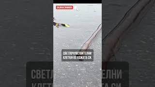 Знаете ли, че дъждовните червеи нямат очи? #интересни #facts #viral