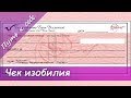 Привлечение денег. Чек ИЗОБИЛИЯ. | Путь к себе