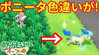 美しすぎ ポニータ色違いが登場 ポケモンlet Sgo イーブイ Youtube