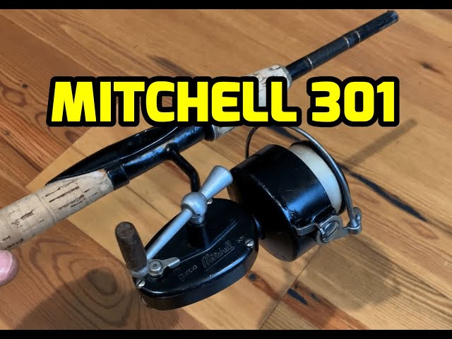 Mitchell 301 