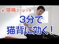 【腰痛ストレッチ】3分で腰の痛みと猫背を予防！カンタンストレッチ － 長崎の藤本整骨院 －
