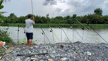 Câu Cá Tra Sông | Câu Đêm Bãi Huyền Thoại Săn Hugo | Fishing Miền Tây