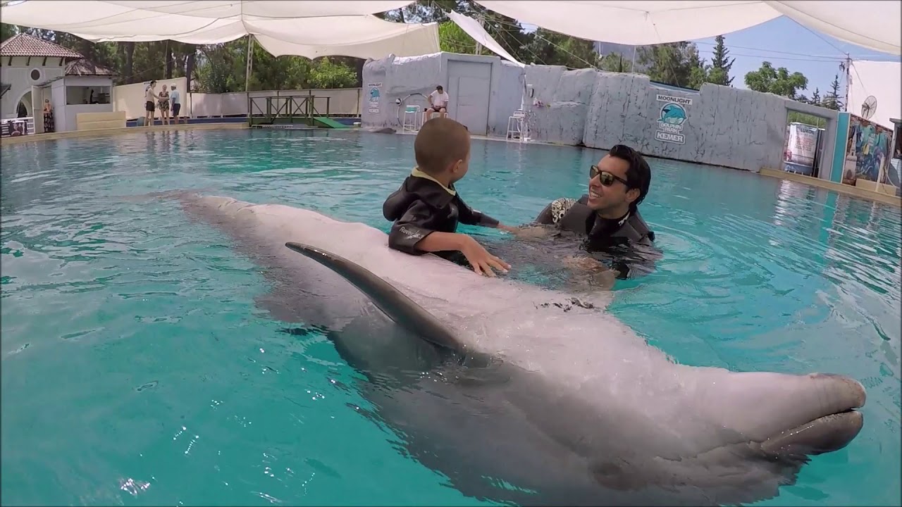 Дельфинотерапия в Турции ( Falikh )
