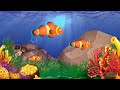 Lullaby and Calming Undersea Animation: Baby Lullabies . Soothing underwater world