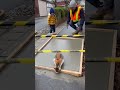 安全テープの下から子猫…肉球スタンプ事件🐱🐾😂 #construction #kids #cat #footprints #japan @chiero_piero