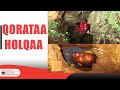 Holqoonni Oromiyaa Keessatti Argaman Sadarkaa Idil Addunyaatti Dorgoman Ta Uusaanii 