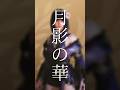 Monster Hunter Wilds Armor Mix – Tsukikage no Hana (月影の華) #mhwilds #gaming #fashion