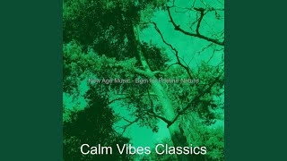 Alluring Music for Vision