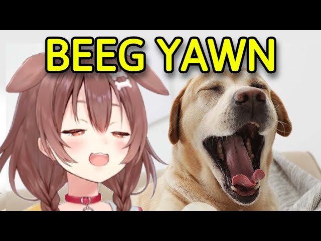 Korone Accidentally Exposed Her Weird Yawning Habit on Stream [Hololive]