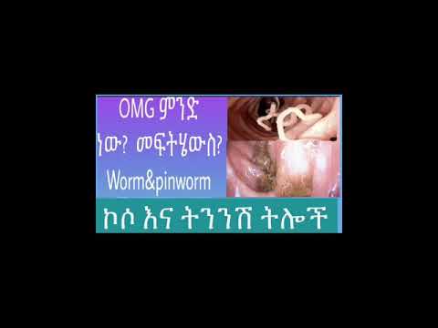 ቪዲዮ: ውሻ መንጠቆ ትል ሊሞት ይችላል?