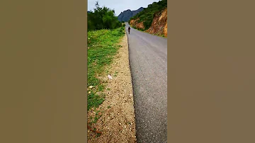 مجنون على طريق الثلوث يقلد صوت امرأة وزوجها يتشاجرو 