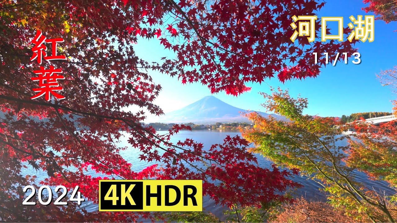 2024 河口湖の紅葉(4K-HDR) Autumn Foliage At Lake Kawaguchi (UHD
