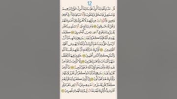 هيا نحفظ سورة آل عمران ♥️(صفحة كل يوم): الصفحة 12.