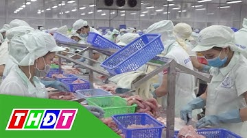 Cửa sổ văn hóa, ngày 23/2/2021 | Không để "Tháng giêng là tháng ăn chơi" | THDT