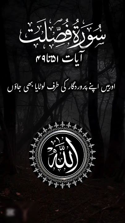 “Man’s Nature: When Tested by Allah | Surah Fussilat 49-51” #fyp #fussilat