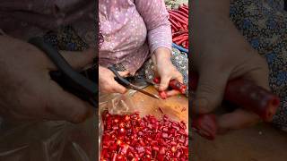 Kgsi 8Tlye Biber Doğranıyor