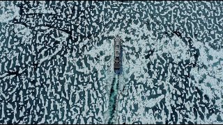 What To Expect Sailing The Northwest Page Lindblad Expeditions