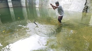 Risky fishing in low level water|Traping baam fishes when canel stopped|fishes in secreat holes