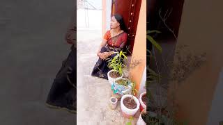 Sareestyle Please Subscribe