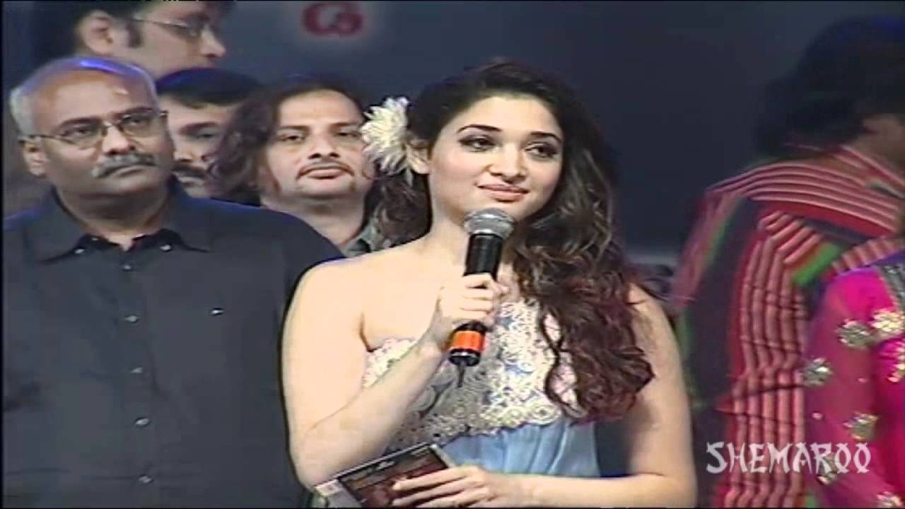 Oosaravelli audio release Part 18