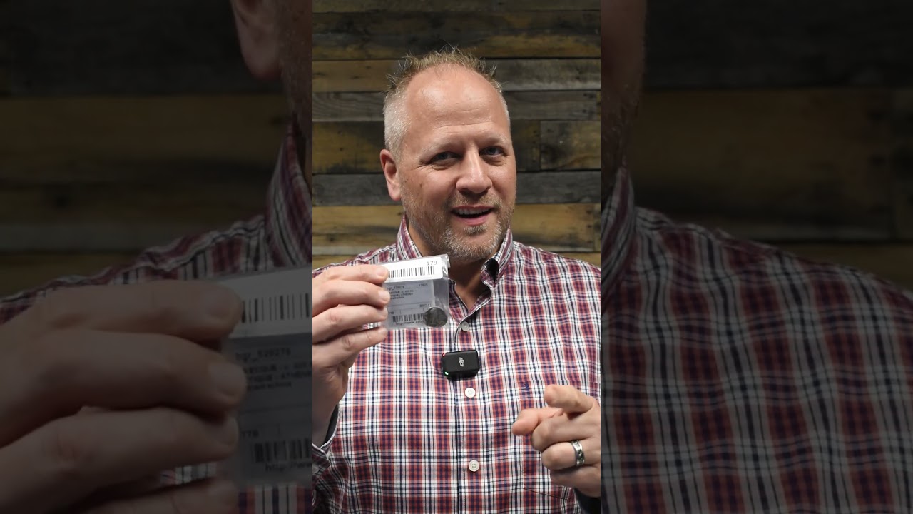 Echoes of Antiquity: The Grand Online Auction of Ancient Coins 