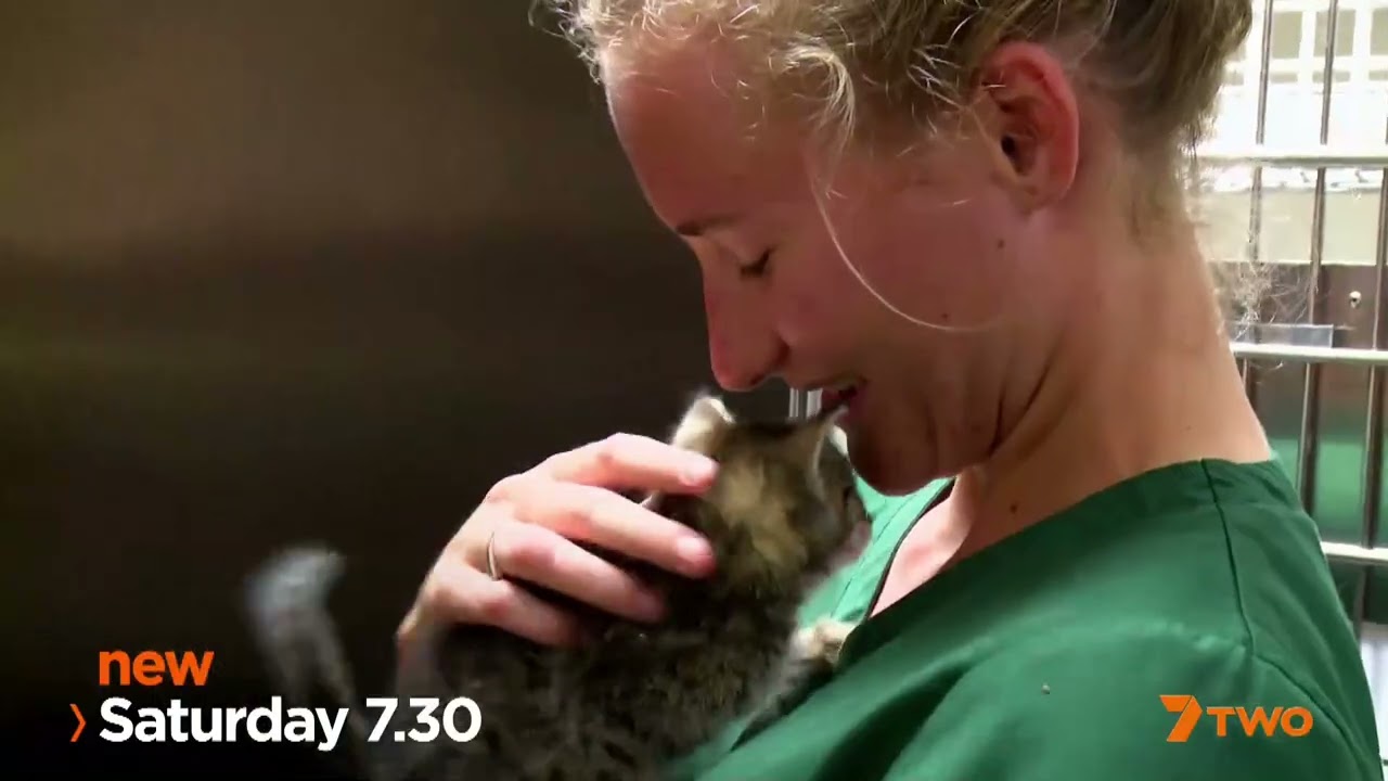 7TWO - The Yorkshire Vet Promo (26/12/18)