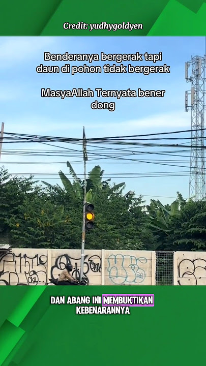 leaves don't move during Eid⁉️ #viral