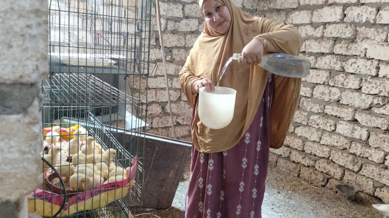 رابع يوم في دورة الكتاكيت البيضاء واهم وصفة الكوباية دى هترفع الوزن معاكى فى نفس الوقت ودعا ل مشاكل