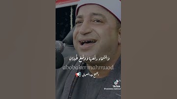 الشيخ طه النعماني سورة الرحمن 😍