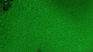 1-99 Fletching Guide