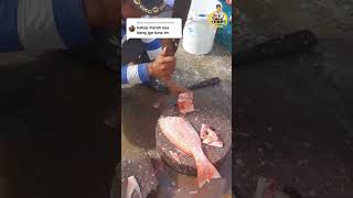 SKILL MEMOTONG IKAN KAKAP MERAH - CUTTING SKILL - KHUNO FOOD
