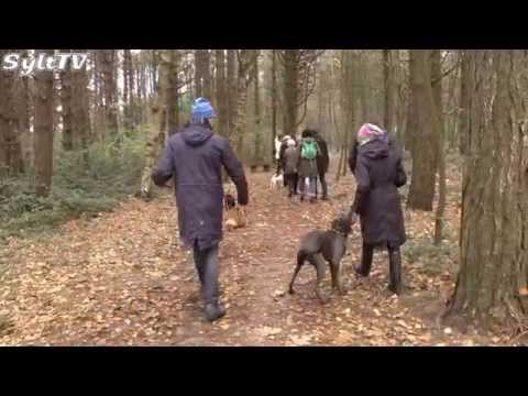 Hundstage in Wenningstedt