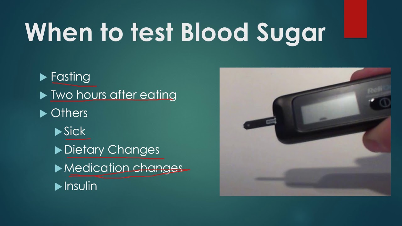 When should you test your Blood Sugar - YouTube