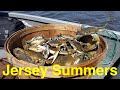 Summer New Jersey Blue Crabs