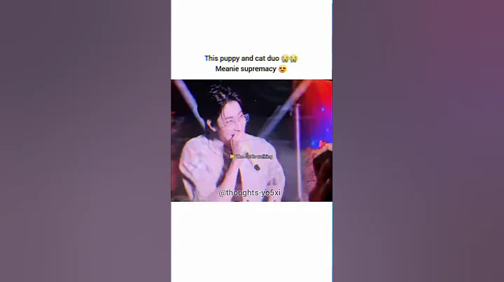 #minwon cat crossing across the han river😺 version #seventeen #mingu #wonwoo #kpoptrending #shorts