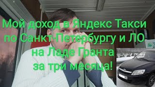 Мой доход за три месяца в Яндексе. 9 февраля 2021 г.